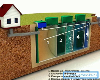1144 Il principio di funzionamento della stazione biologica