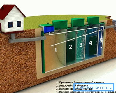 Il principio di funzionamento della stazione biologica