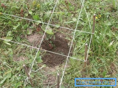 Delineamo i contorni della struttura futura con una stringa