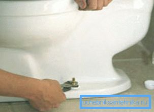 Per rimuovere la ciotola, è necessario svitare i bulloni. Per rimuovere la ciotola, è necessario svitare i bulloni.