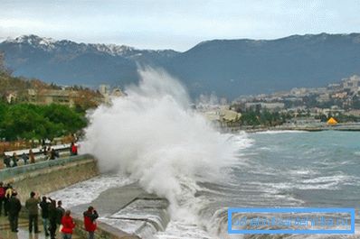 Per la Crimea le basse temperature invernali non sono tipiche. Per la Crimea le basse temperature invernali non sono tipiche.