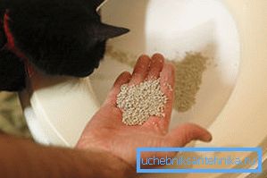Per la tranquillità dell'animale puoi versare un po 'di riempitivo. Per la tranquillità dell'animale puoi versare un po 'di riempitivo.