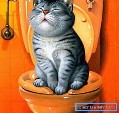 Gatto felice Gatto felice