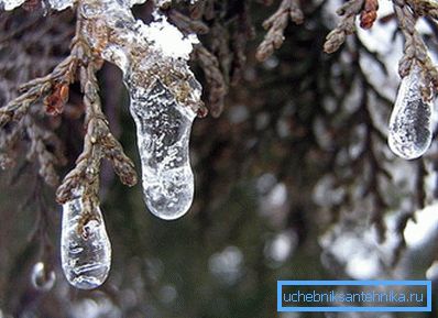 Se la temperatura durante la notte scende sotto lo zero, spegnere anticipatamente il riscaldamento Se la temperatura durante la notte scende sotto lo zero, spegnere anticipatamente il riscaldamento
