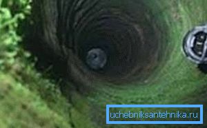 Se le pareti interne del pozzo sono già fiorite, come nella foto, allora è sorprendente che l'acqua non ti si addica Se le pareti interne del pozzo sono già fiorite, come nella foto, allora è sorprendente che l'acqua non ti si addica