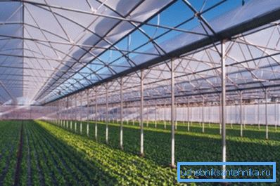 Gli agricoltori che coltivano ortaggi in serra, affrontano la questione del riscaldamento in un modo completamente diverso. Gli agricoltori che coltivano ortaggi in serra, affrontano la questione del riscaldamento in un modo completamente diverso.