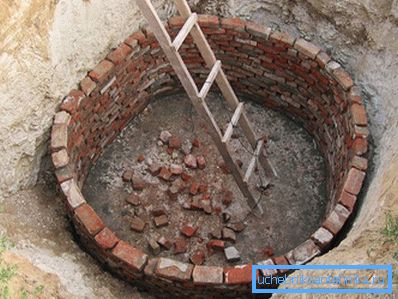 1186 La severità sarà cattiva