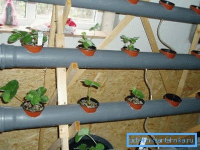 Sistema idroponico di condotte fognarie Sistema idroponico di condotte fognarie