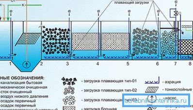 1183 Profonda pulizia biologica