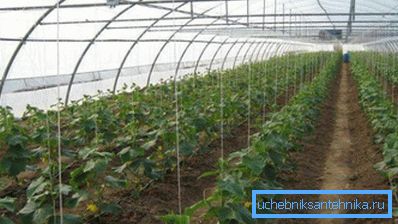L'impianto di riscaldamento utilizzato è selezionato in base all'area della struttura agrotecnica. L'impianto di riscaldamento utilizzato è selezionato in base all'area della struttura agrotecnica.