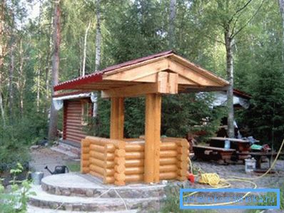 Bene da un albero per un sistema di approvvigionamento idrico. Bene da un albero per un sistema di approvvigionamento idrico.
