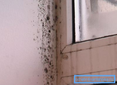 Condensa e muffa - i satelliti eterni di scarsa ventilazione. Condensa e muffa - i satelliti eterni di scarsa ventilazione.