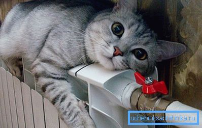 Il gatto è riscaldato su un radiatore in alluminio Il gatto è riscaldato su un radiatore in alluminio