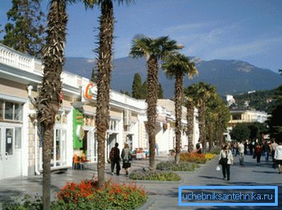Crimea, Yalta, dicembre. Il costo del riscaldamento è piccolo. Crimea, Yalta, dicembre. Il costo del riscaldamento è piccolo.