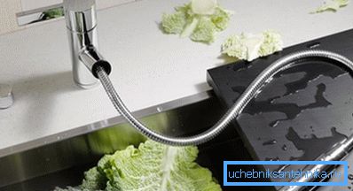 L'annaffiatoio per il rubinetto della cucina è più funzionale. L'annaffiatoio per il rubinetto della cucina è più funzionale.