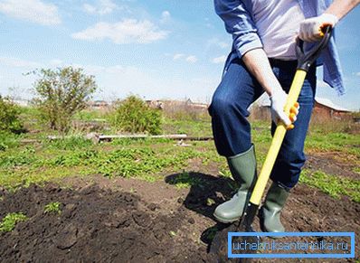 1243 Il posto per il pozzo nero è stato scelto nel giardino