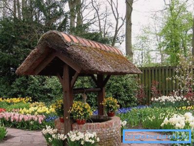 Nella foto - l'opzione di decorare edifici con fiori Nella foto - l'opzione di decorare edifici con fiori