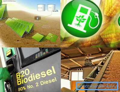 Nella foto - il biocarburante può essere prodotto da varie materie prime biologiche. Nella foto - il biocarburante può essere prodotto da varie materie prime biologiche.