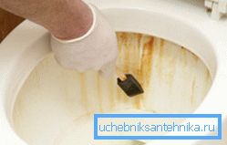 Nella foto: macchie e macchie marroni rovinano l'aspetto della toilette Nella foto: macchie e macchie marroni rovinano l'aspetto della toilette
