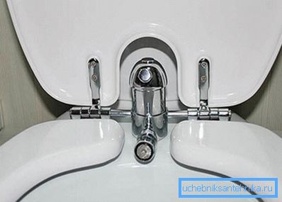 Sulla foto - un coperchio con la funzione di un bidet per il bagno Sulla foto - un coperchio con la funzione di un bidet per il bagno