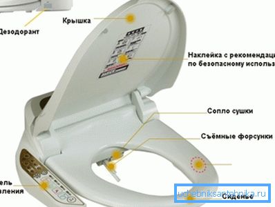 Nella foto - gli elementi principali della toilette Nella foto - gli elementi principali della toilette