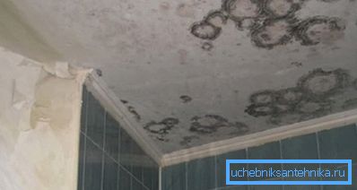 Nella foto - le conseguenze della mancanza di ventilazione (presumibilmente, l'odore è appropriato) Nella foto - le conseguenze della mancanza di ventilazione (presumibilmente, l'odore è appropriato)