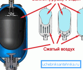 La foto è un diagramma schematico dell'accumulatore del dispositivo. La foto è un diagramma schematico dell'accumulatore del dispositivo.