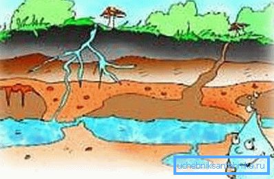 L'immagine mostra la debole protezione del tubo dell'acqua dall'inquinamento esterno. L'immagine mostra la debole protezione del tubo dell'acqua dall'inquinamento esterno.