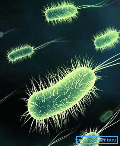 La presenza di batteri nell'acqua potabile può causare gravi malattie. La presenza di batteri nell'acqua potabile può causare gravi malattie.