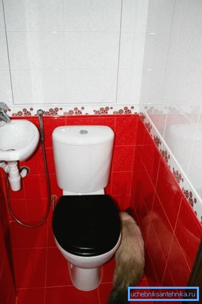 WC e lavabo a pavimento nel bagno con doccia igienica WC e lavabo a pavimento nel bagno con doccia igienica