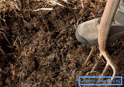Letame: carburante ecologico per la serra Letame: carburante ecologico per la serra