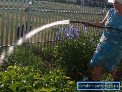 Irrigazione abbondante porta ad un consumo eccessivo di acqua.