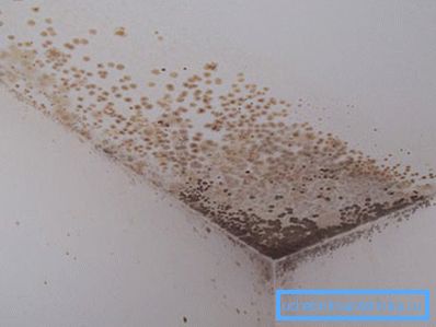Formazione di muffa dovuta alla mancanza di sufficiente ricambio d'aria Formazione di muffa dovuta alla mancanza di sufficiente ricambio d'aria
