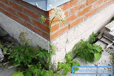 1211 Calcestruzzo seminterrato in crosta