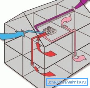 L'organizzazione del movimento delle masse d'aria L'organizzazione del movimento delle masse d'aria