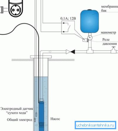 L'organizzazione del sistema di protezione L'organizzazione del sistema di protezione