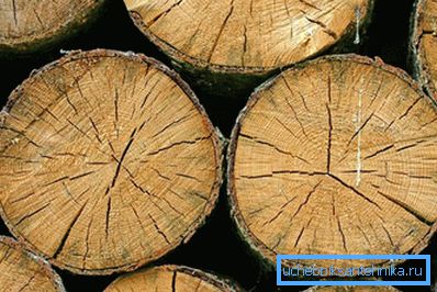 Legno di pioppo Legno di pioppo
