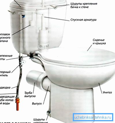 I componenti principali di una tazza del water standard. I componenti principali di una tazza del water standard.