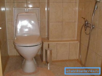 Toilette domestiche (nella foto) - un'ottima soluzione ad un prezzo conveniente. Toilette domestiche (nella foto) - un'ottima soluzione ad un prezzo conveniente.