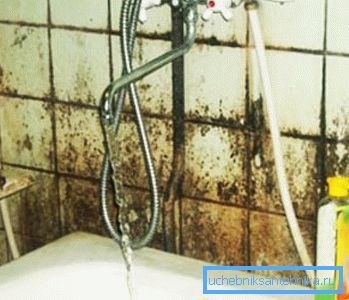 Stampo sulla piastrella a causa dell'umidità eccessiva Stampo sulla piastrella a causa dell'umidità eccessiva
