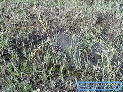 1200 Il terreno non assorbe acqua
