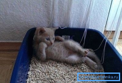 Scegli un vassoio comodo e spazioso. Scegli un vassoio comodo e spazioso.