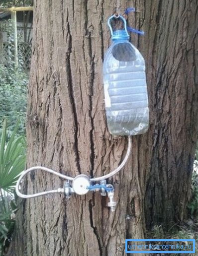 Tali disegni sono accettabili se non nella foresta. Tali disegni sono accettabili se non nella foresta.