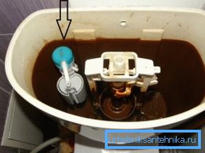 A volte le etichette del livello dell'acqua sul prodotto non corrispondono alla realtà e spesso devono essere regolate da soli A volte le etichette del livello dell'acqua sul prodotto non corrispondono alla realtà e spesso devono essere regolate da soli
