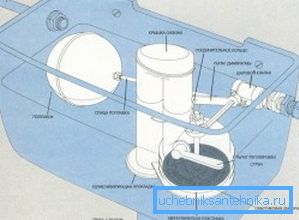 Indicazione soggetta di tutti gli elementi di un design standard del cuscino della tazza Indicazione soggetta di tutti gli elementi di un design standard del cuscino della tazza