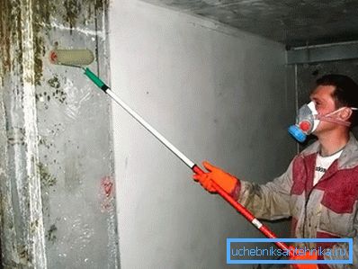 Cause di occorrenza e pericolo nascosto di muffa Cause di occorrenza e pericolo nascosto di muffa