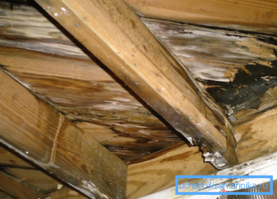 Esempio di stampo su travi in legno Esempio di stampo su travi in legno