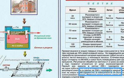 Il principio di azione dei bioattivatori Il principio di azione dei bioattivatori