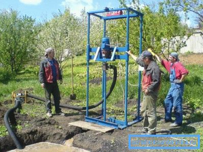Vegetazione nel sito di perforazione. Vegetazione nel sito di perforazione.