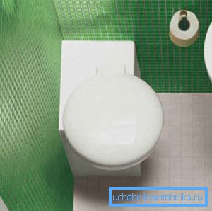 La dimensione e la forma della toilette dovrebbero essere selezionate in base alle dimensioni della stanza da bagno La dimensione e la forma della toilette dovrebbero essere selezionate in base alle dimensioni della stanza da bagno